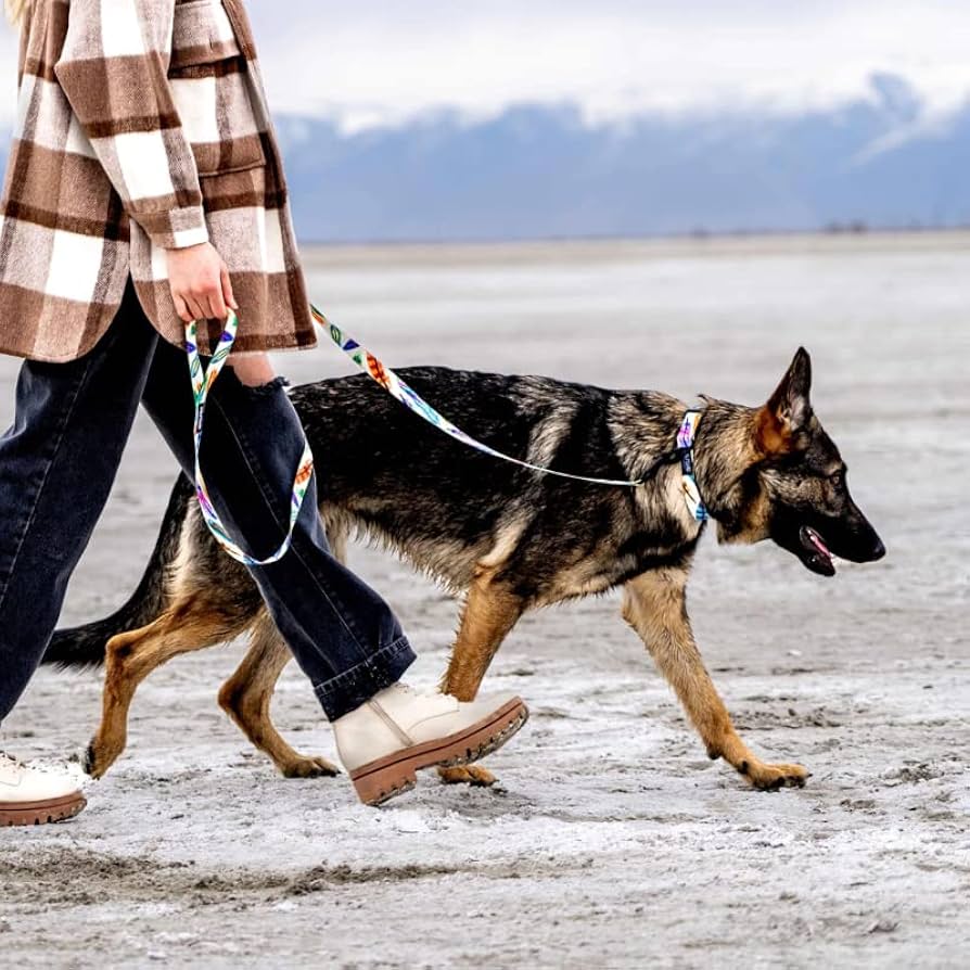 WOLFGANG FeatheredFriend 新品リード REACT FeatheredFriend React Leash | WOLFGANG